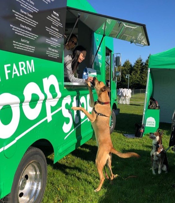 Food Truck Graphics