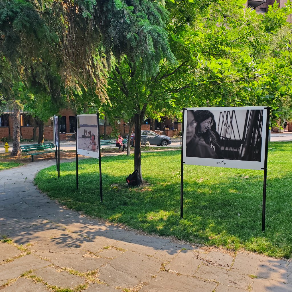 Outdoor Photography Exhibition - Park Display Prints