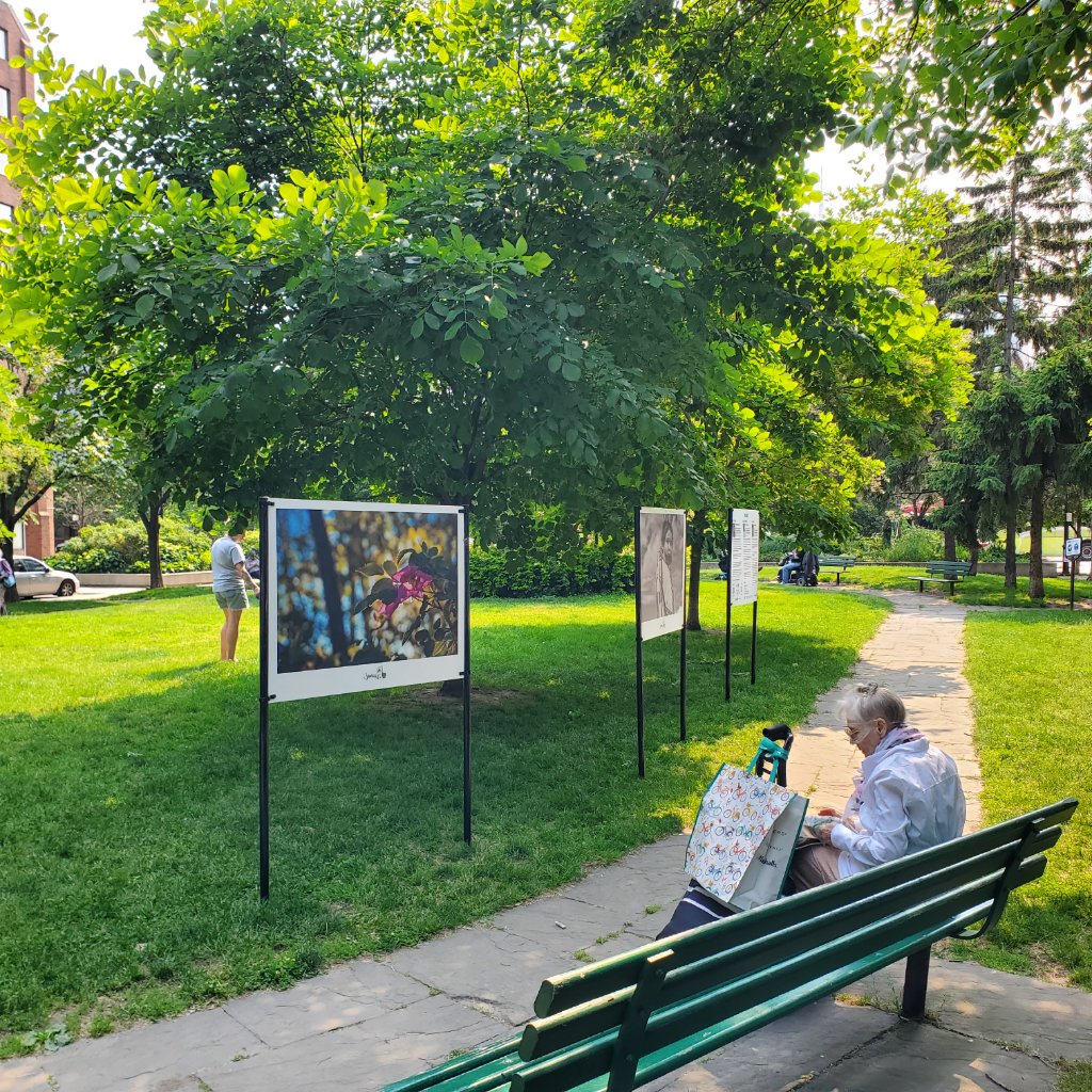 Outdoor Photography Exhibition - Park Display Prints