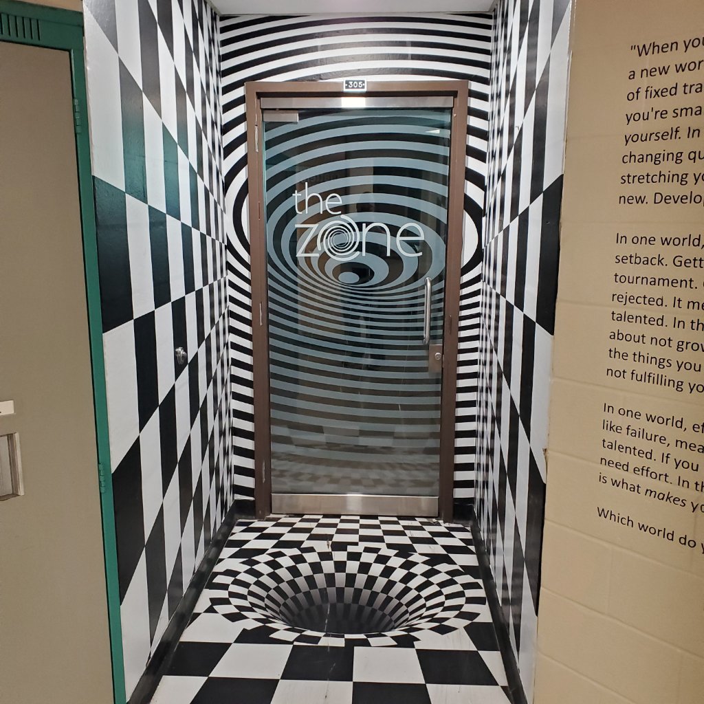 The Zone - Optical Illusion Hallway Wrap