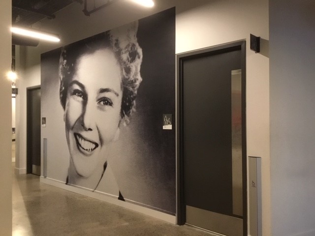 Full Wall Graphic Mural