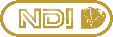 NDI Financial Logo