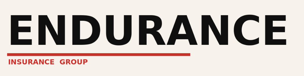 Endurance Insurance Group