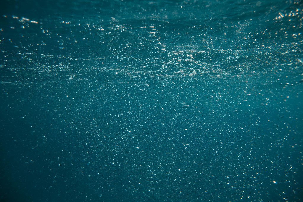 Submerse — East Coast Collective