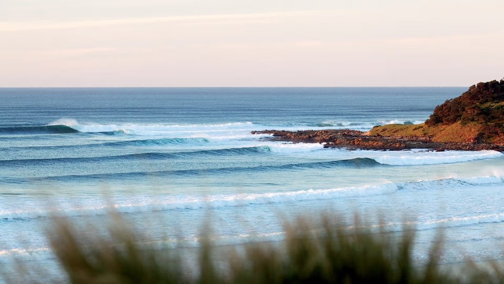 Wild Coast