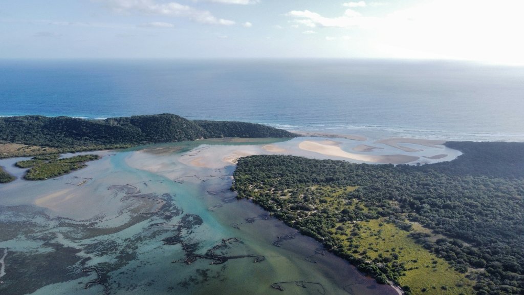 Aerial view of an empty beach and dune forest on South Africa's Eastern Seaboard at dusk