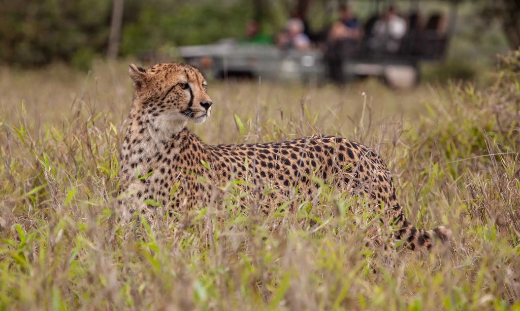 Manyoni Private Game Reserve