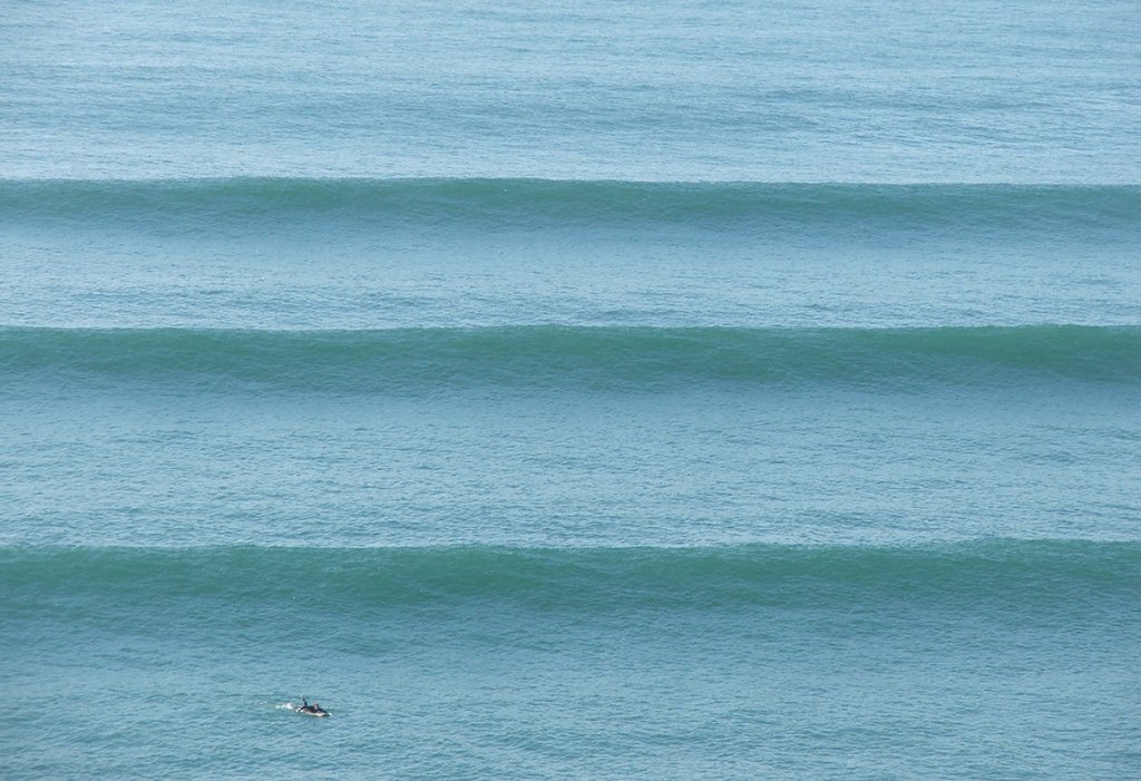 Surf — East Coast Collective