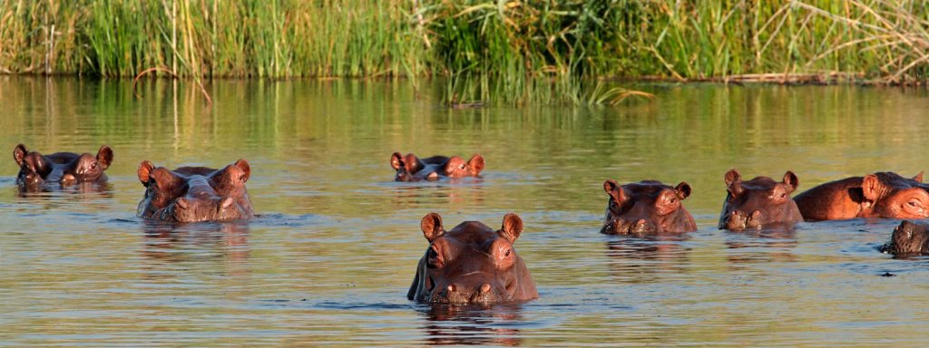 Makakatana & iSimangaliso