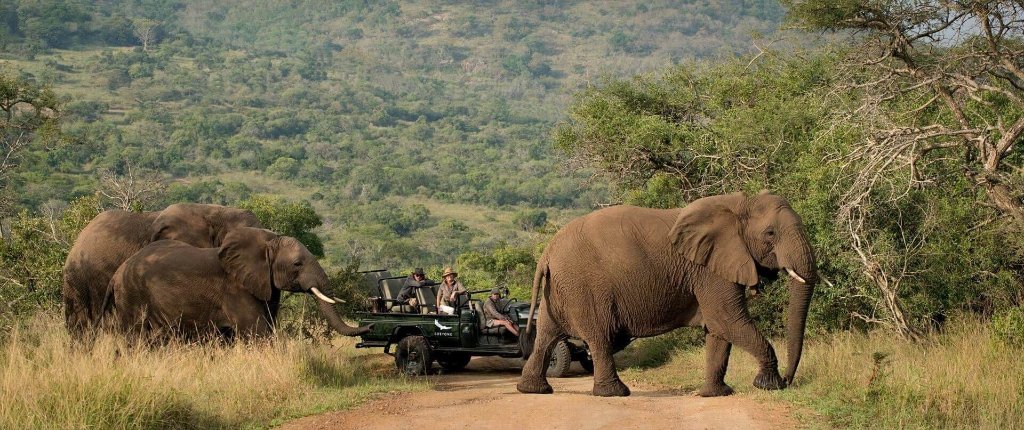 Phinda Private Game Reserve