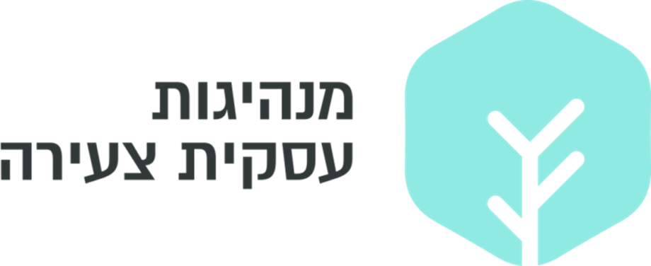 מנהיגות עסקית צעירה