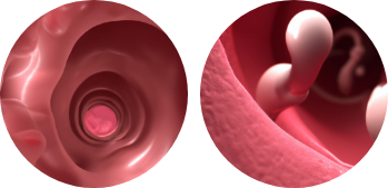Spectral imagery of tongue
