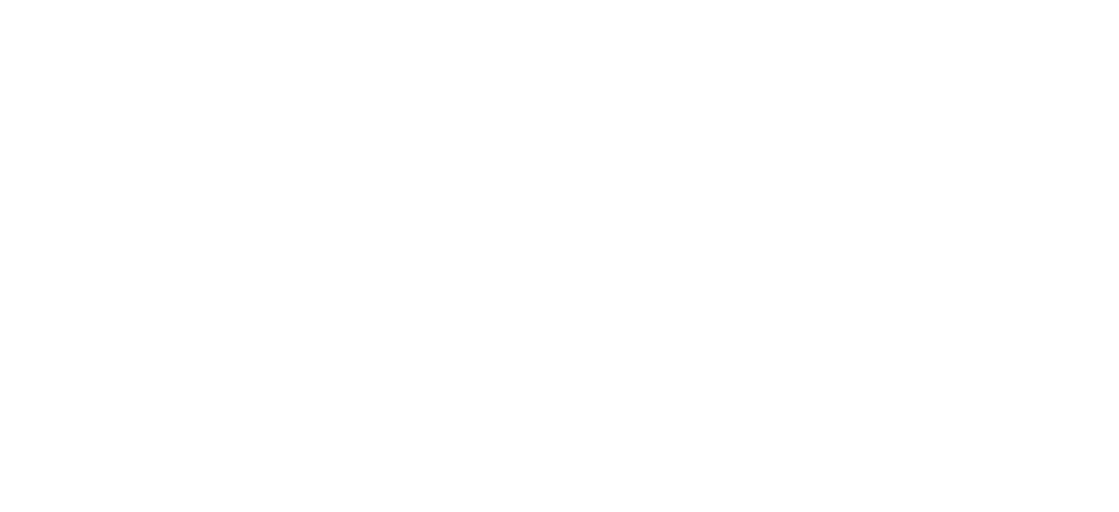 SNAC Logo