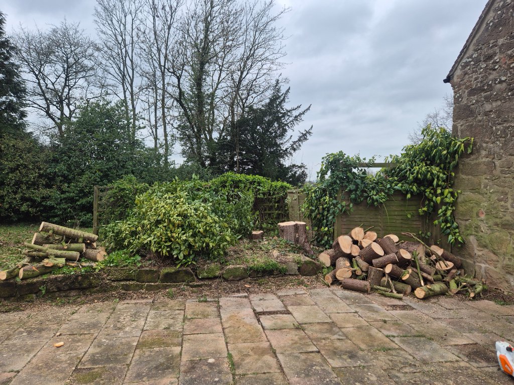 Tree Removal in Shropshire — TreeTech Shropshire