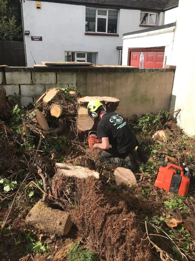 Cleared development site ready for construction