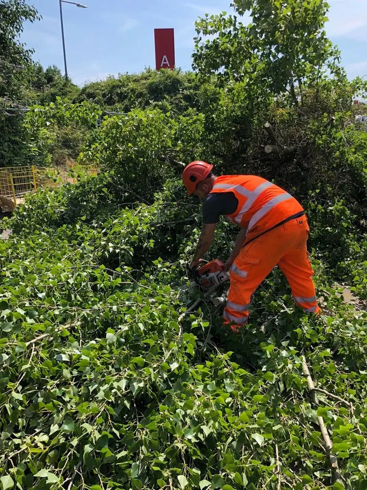 Ground Clearance in Telford — TreeTech Shropshire