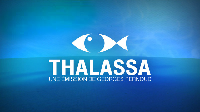 Thalassa