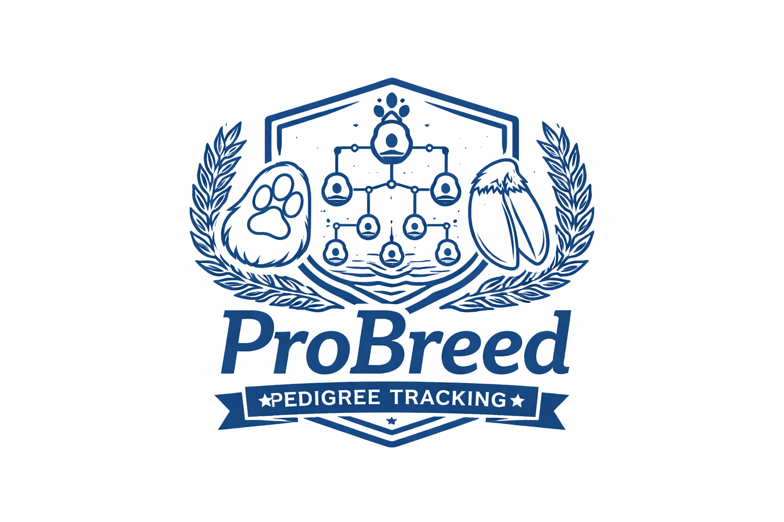 Tracking template preview
