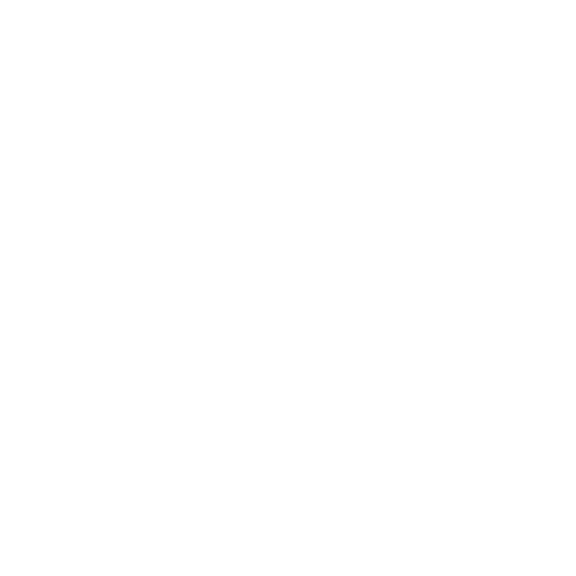 Voice Media Collective