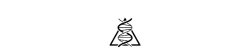 the Scalar Light Staff Portal logo