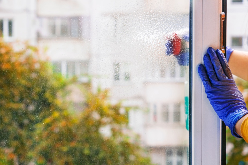 Professional Window Cleaning Services