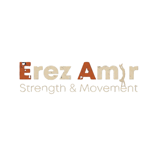 Erez Amir
