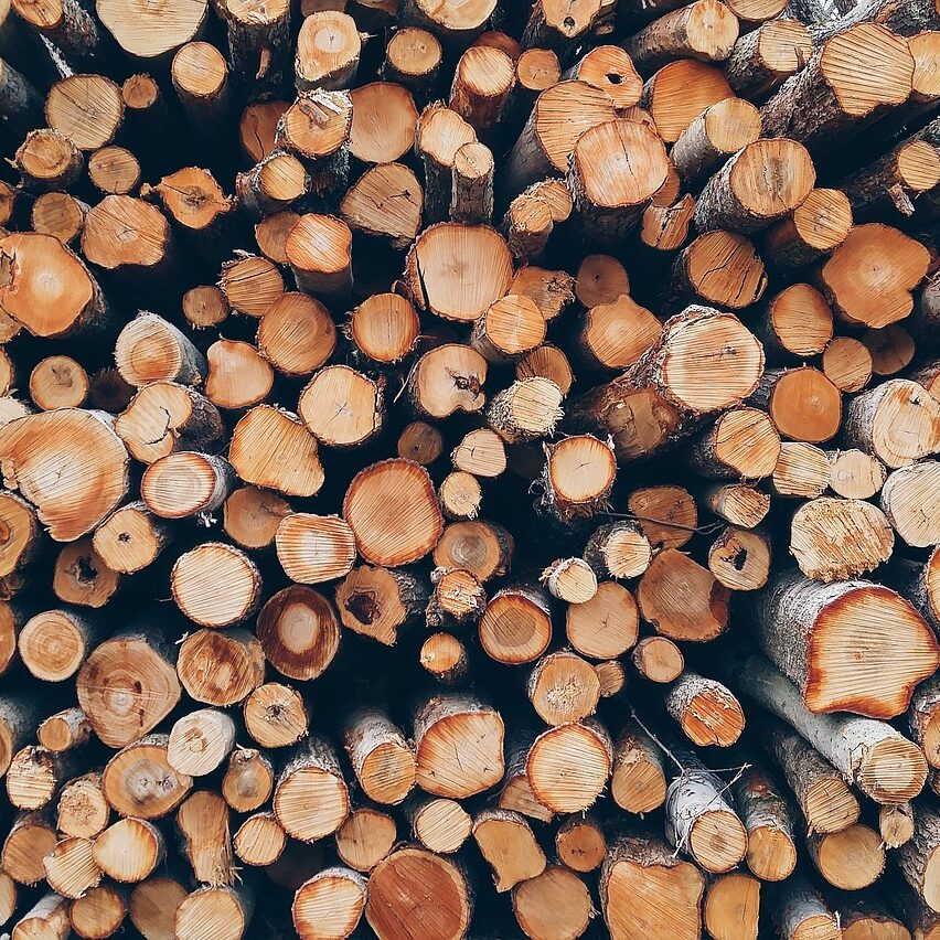 Wood