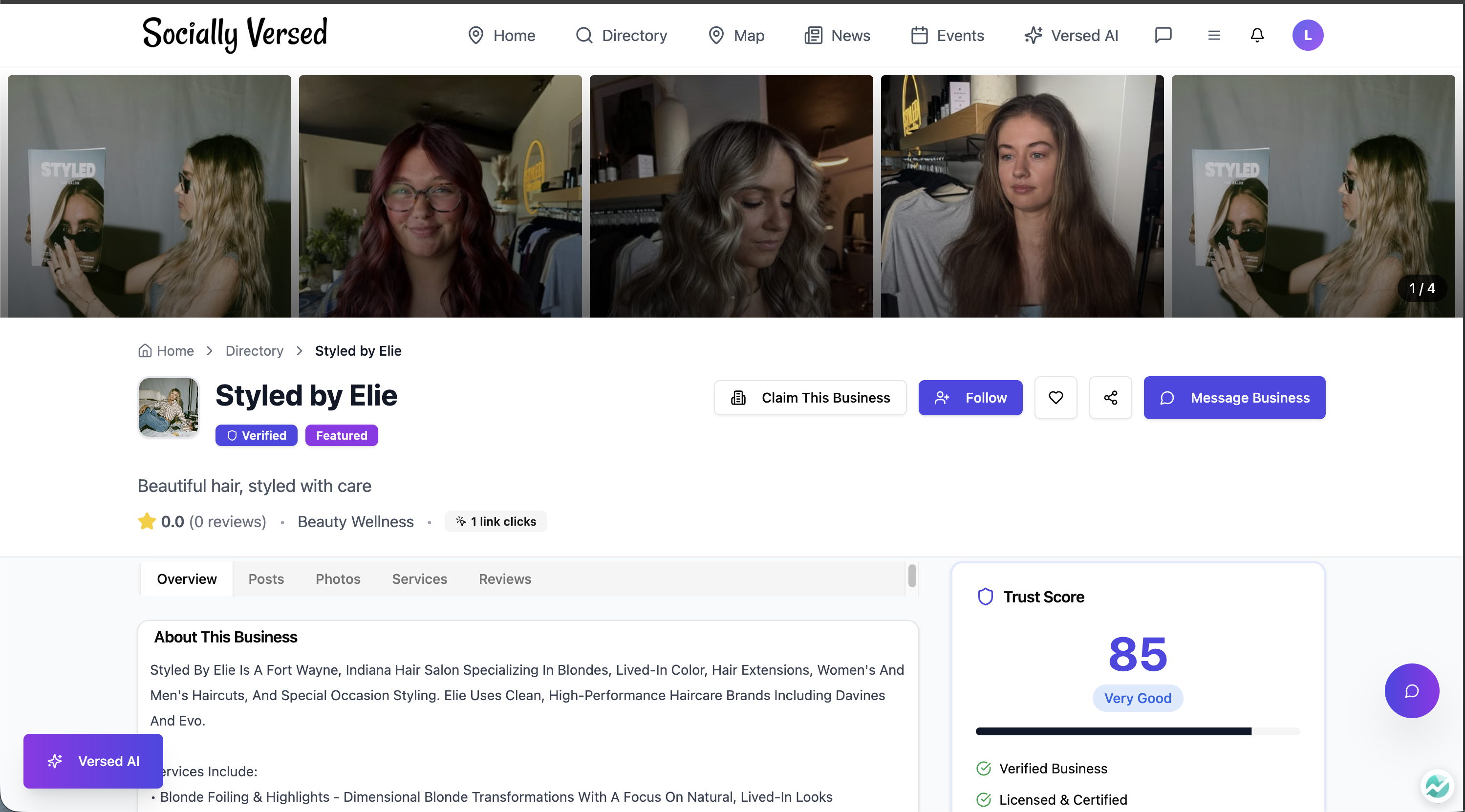 SV SEO  template preview