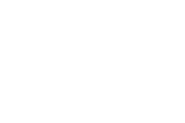 Citadele