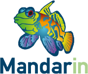 Mandarin Fish