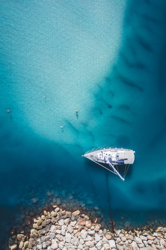 Tranquil Aquatic Harmony