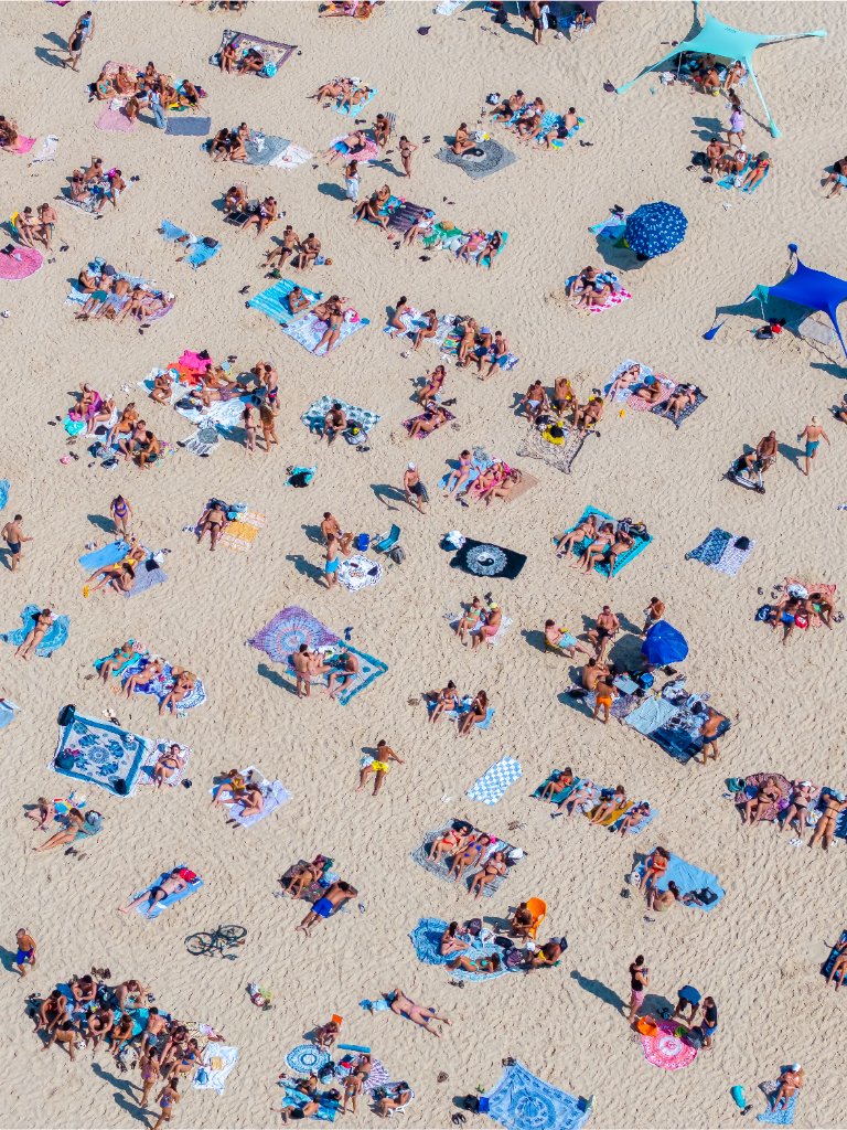 Tropical Mosaic