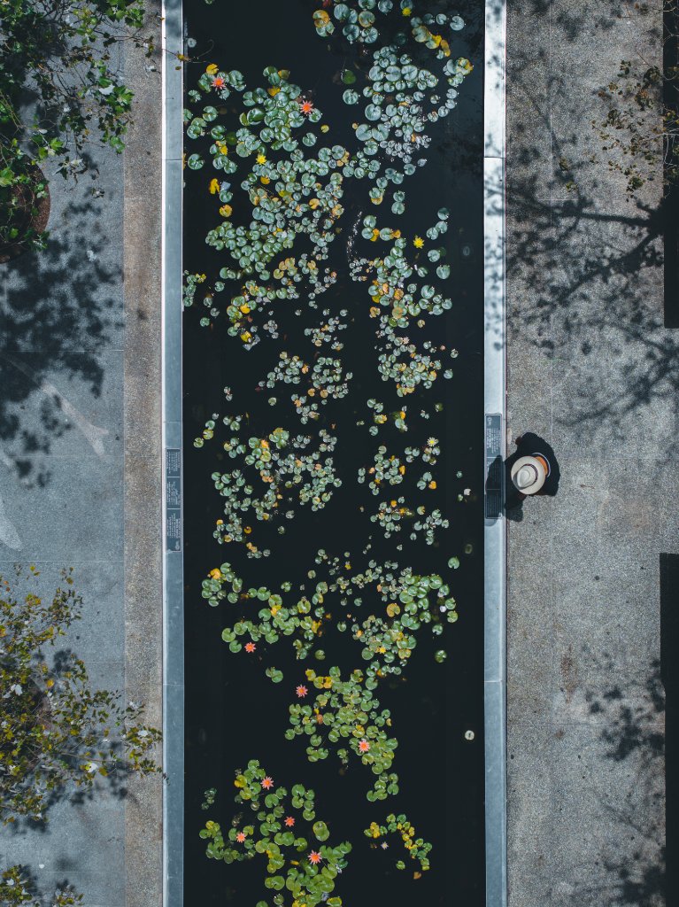 givon eco pool