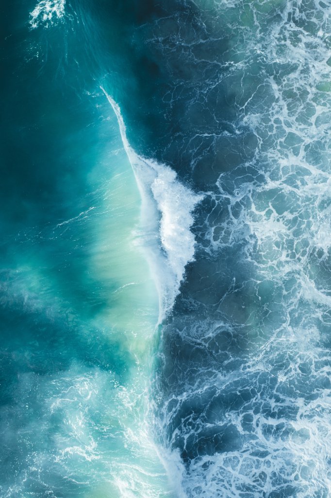 Ocean's Whisper