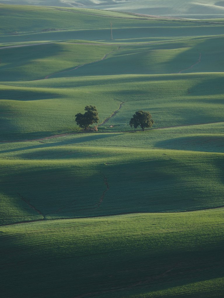 Green Serenity