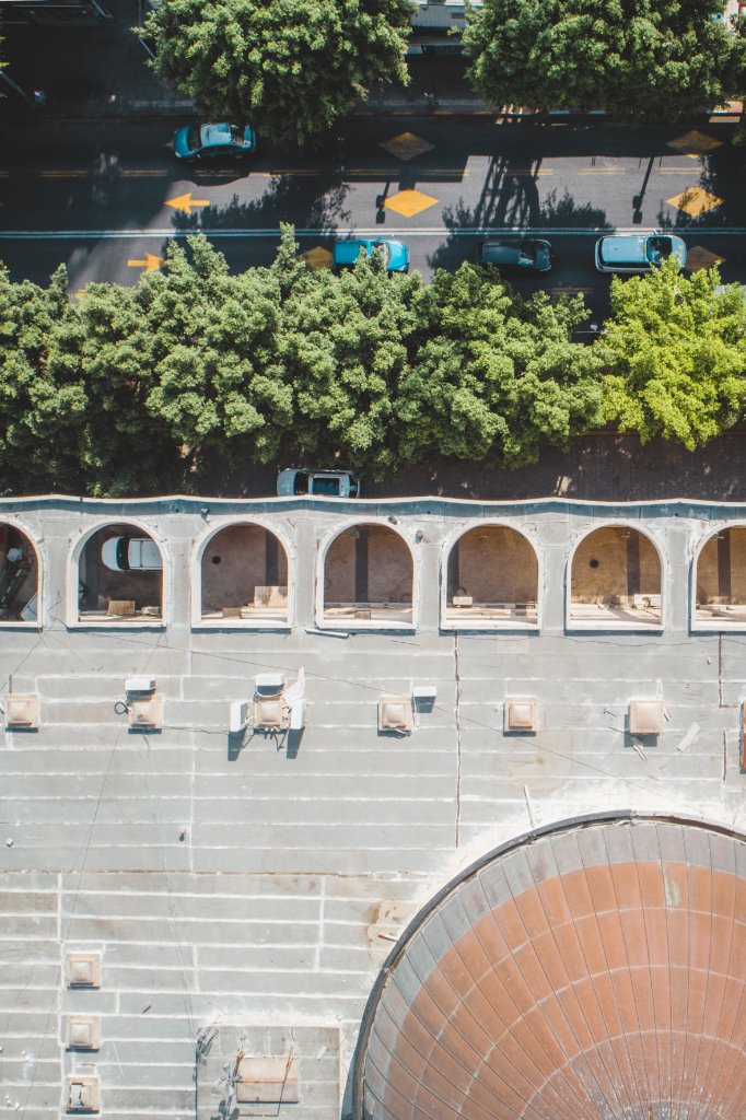 Urban Canopy Harmony
