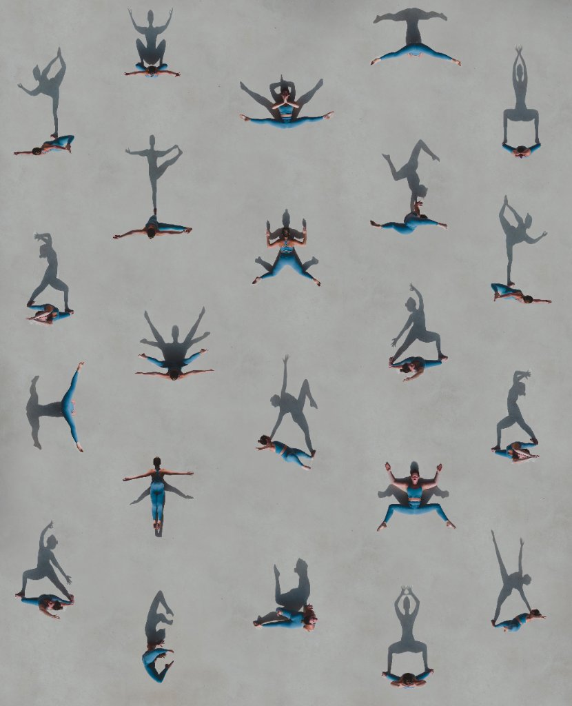 yogi day