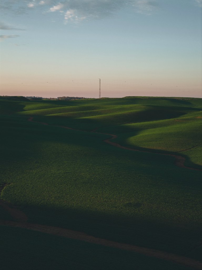 Dawn Over Verdant Waves