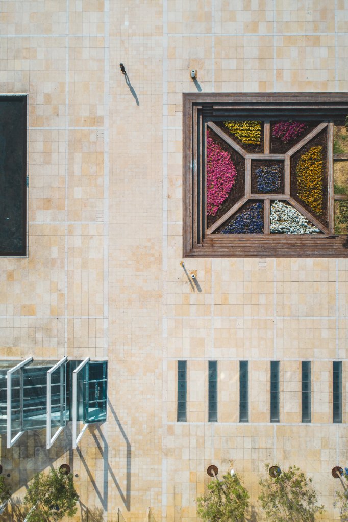 Floral Geometry