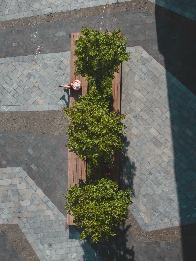 Urban Oasis