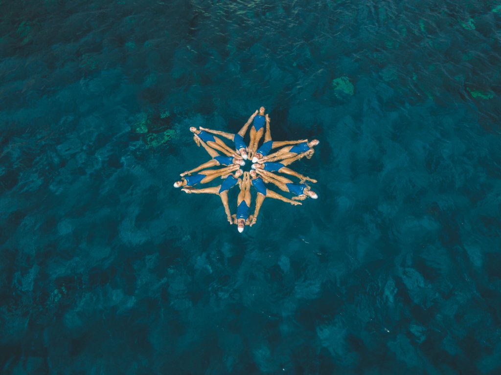 Fluid Harmony
