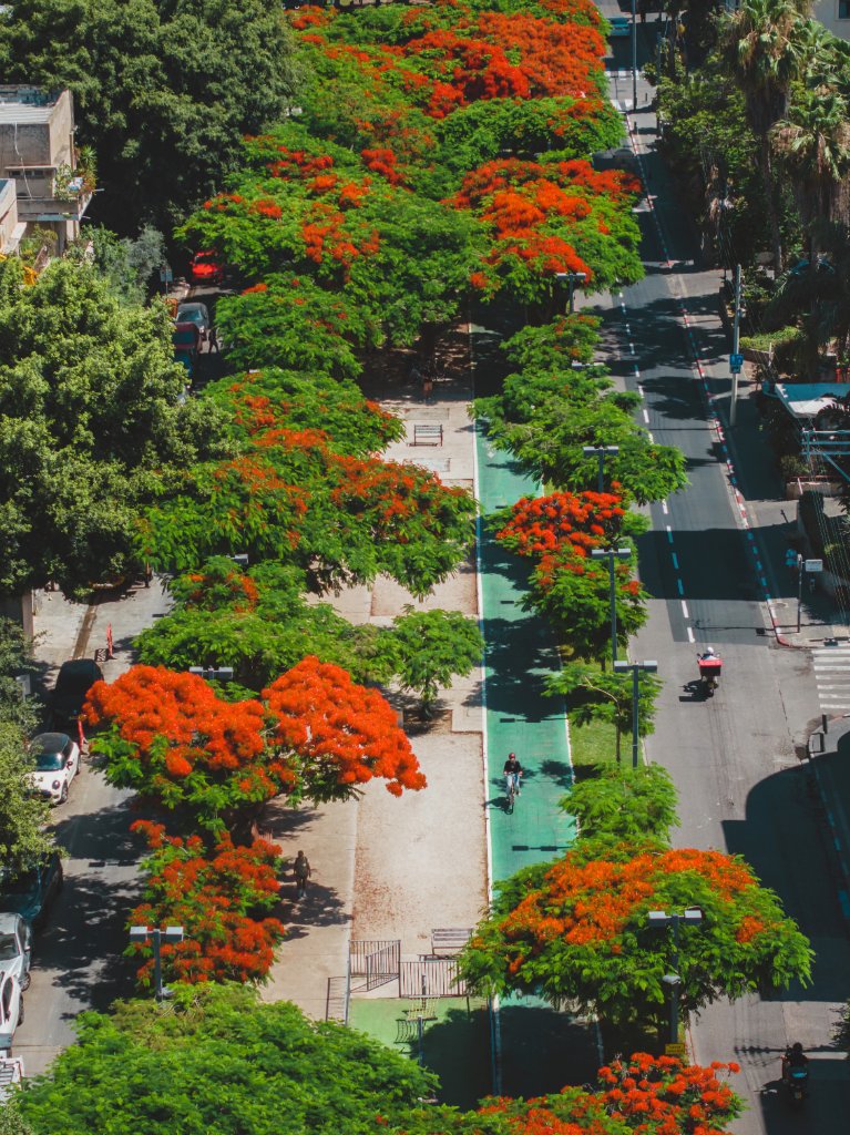 THE Urban Grid