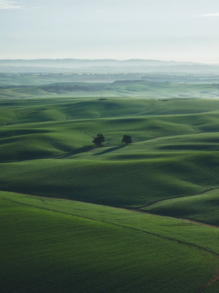  Emerald Waves