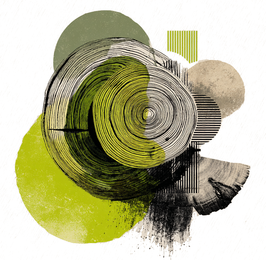 Abstract olive ring composition