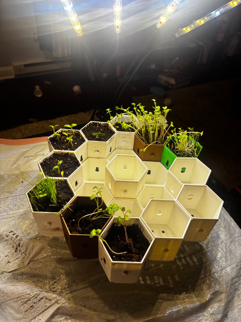 HexGarden photo 6