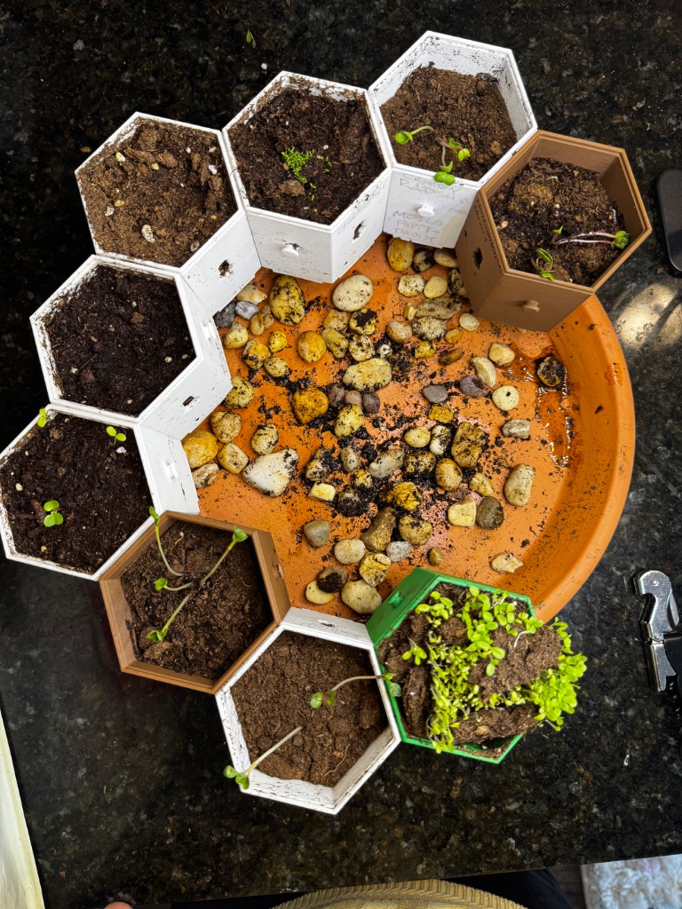 HexGarden photo 11