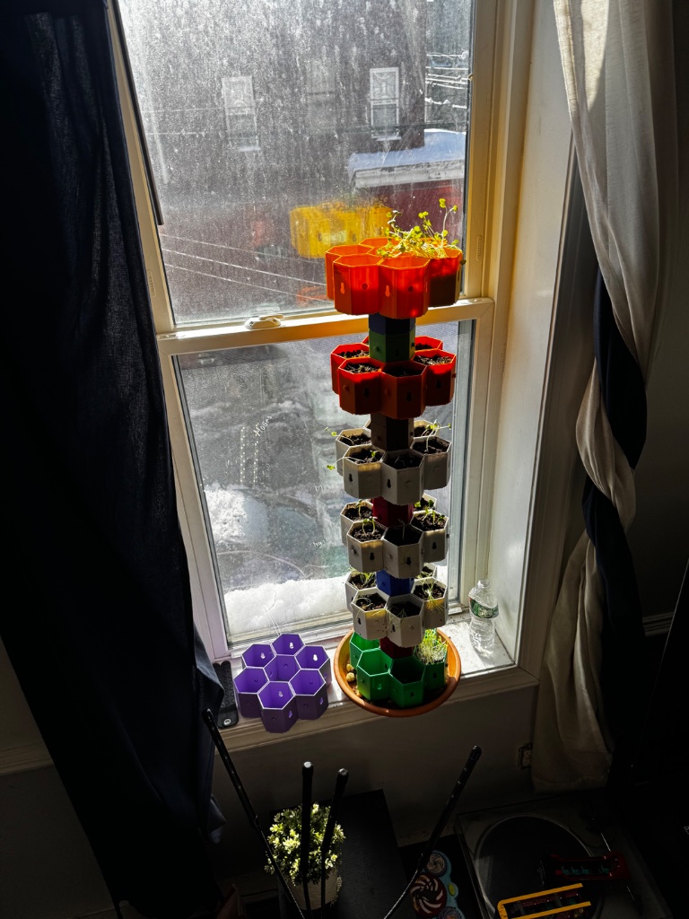 HexGarden photo 1