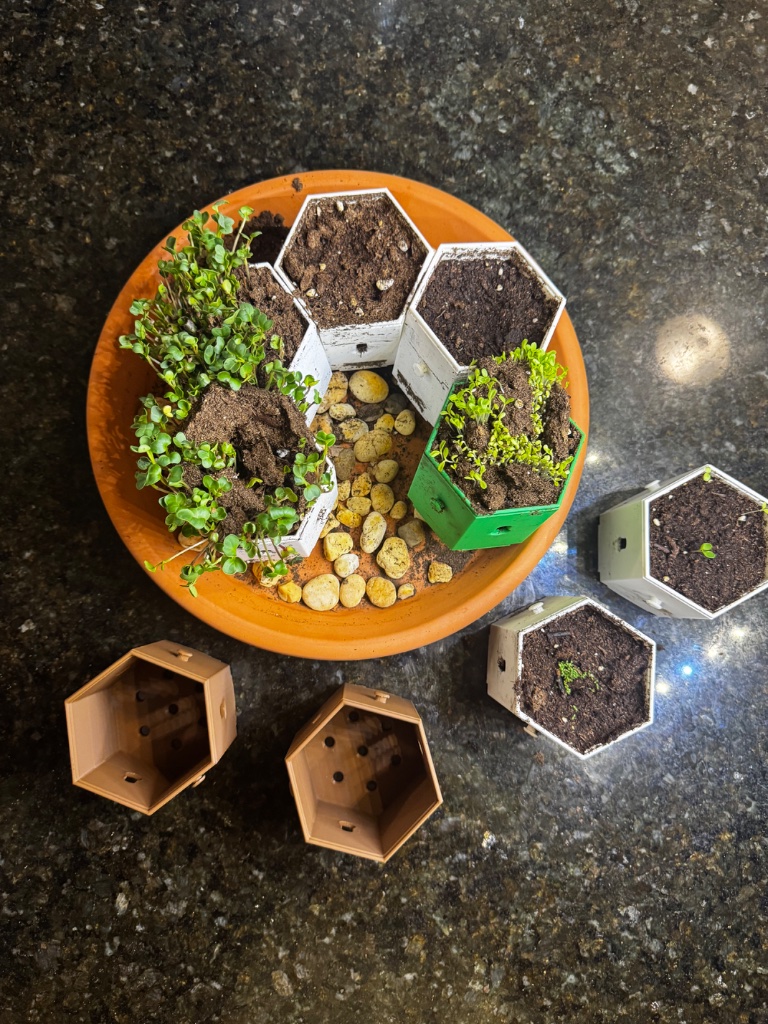 HexGarden photo 12