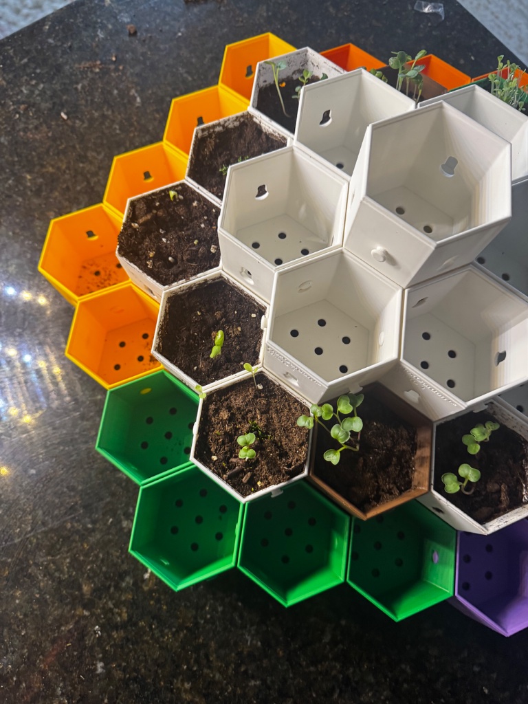 HexGarden photo 8