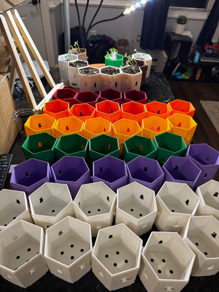 HexGarden photo 10
